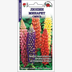 Люпин Минарет/ Сотка