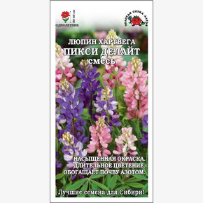 Люпин Пикси Делайт/ Сотка