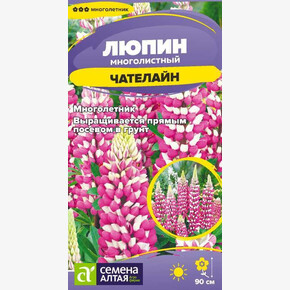 Люпин Чателайн/Сем Алт/цп 0,3 гр. многолетник