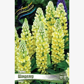 ЛЮПИН ШАНДЕЛЕР