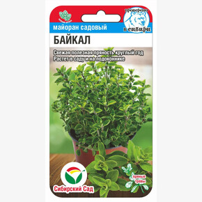Майоран Байкал 0,1г Сиб Сад