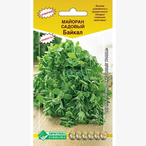 Майоран Байкал/ Евросемена