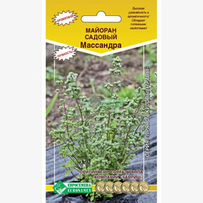 Майоран МАССАНДРА 0,2 гр/ Евросемена