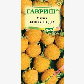 Малина Желтая Ягодка/ Гавриш