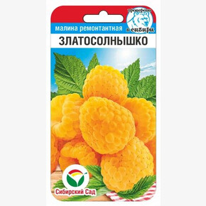 Малина Златосолнышко 10шт/ Сибсад