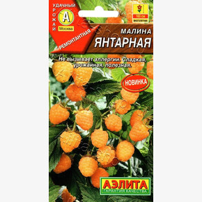 Малина Янтарная 20шт/ Аэлита