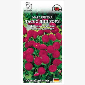 Маргаритка Тассо Дип Роуз /Сотка/ 10шт