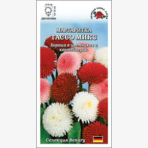 Маргаритка Тассо Микс /Сотка/ 10шт/ h-10-12см d-4-5см /*500