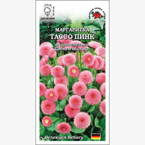 Маргаритка Тассо Пинк /Сотка/ 10шт/ *500