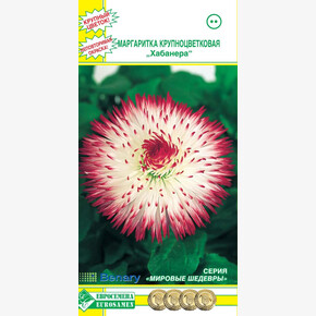 Маргаритка ХАБАНЕРА , бело-розовая (20 шт)/ Евросемена