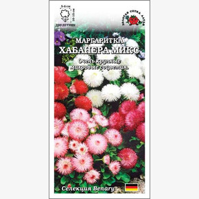 Маргаритка Хабанера /Сотка/ 10 шт/*500