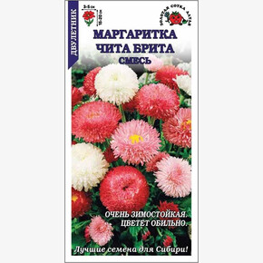 Маргаритка Чита Брита смесь /Сотка/ 0,1 г/ h-15-20см d-3-5см/*1500