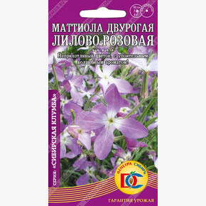 Маттиола двурогая Лилово-розовая /0,1 гр Дем Сиб/