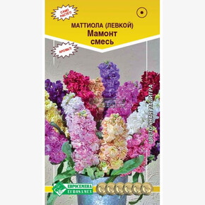 Маттиола МАМОНТ (0,1 гр) 1134/ Евросемена