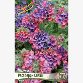 МЕДУНИЦА РЭСПБЕРРИ СПЛЭШ