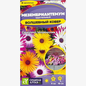 Мезембриантемум Волшебный ковер/Сем Алт/цп 0,05 гр.