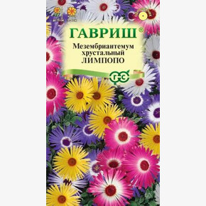 Мезембриантемум Лимпопо/ Гавриш