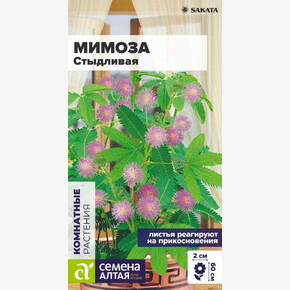Мимоза Стыдливая 0,1гр/ Семена Алтая
