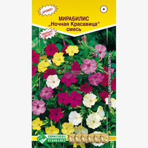 Мирабилис Ночная Красавица/ Евросемена