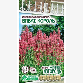 Многоколосник ВИВАТ, КОРОЛЬ 10 шт/ Евросемена