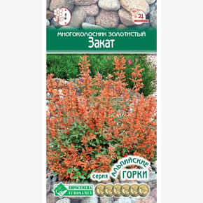 Многоколосник ЗОЛОТИСТЫЙ ЗАКАТ (10 шт)/ Евросемена