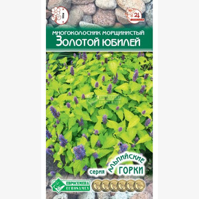 Многоколосник ЗОЛОТОЙ ЮБИЛЕЙ (10 шт)/ Евросемена