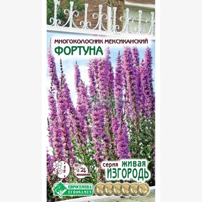 Многоколосник ФОРТУНА 0,2 гр/ Евросемена