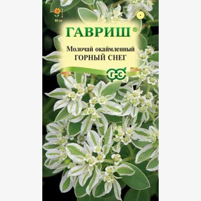 Молочай Горный снег /Гавриш