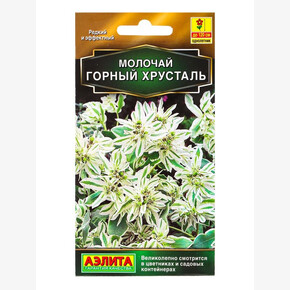 Молочай Горный хрусталь / Аэлита