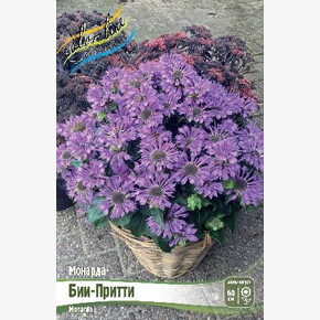 МОНАРДА БИИ-ПРИТТИ