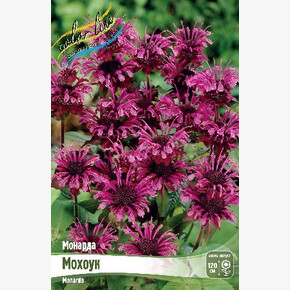 МОНАРДА МОХОУК