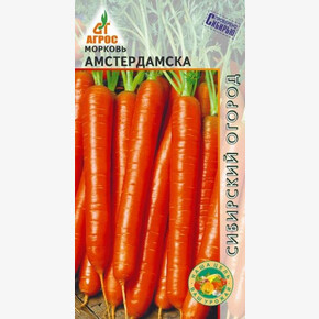 морковь Амстердамска