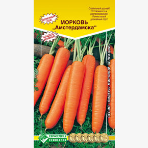 Морковь АМСТЕРДАМСКАЯ 2 (2гр) 2024/ Евросемена