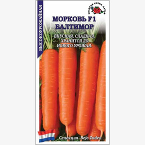 Морковь Балтимор /Сотка