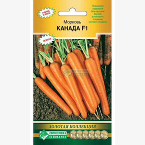 Морковь КАНАДА (150шт)/ Евросемена ШК!!!