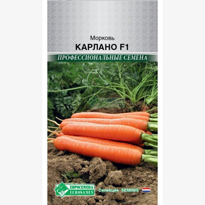 Морковь КАРЛАНО 150 шт/ Евросемена