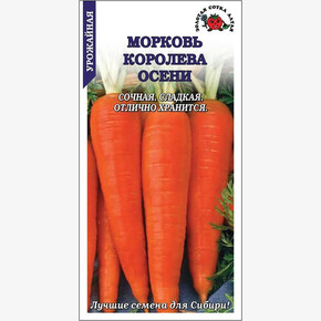 Морковь Королева Осени/ Сотка