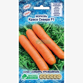 Морковь КРАСА СЕВЕРА (0,5 гр)/ Евросемена