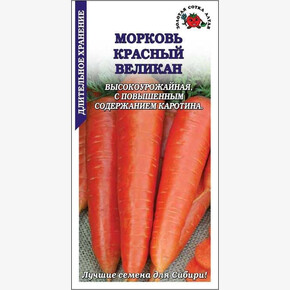 Морковь Красный Великан/ Сотка