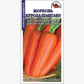 Морковь Курода/ Сотка