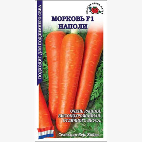 Морковь Наполи /Сотка/ 0,3г/ ранняя 65-155г Bejo