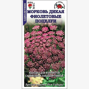 Морковь Фиолетовые Поцелуи дикая /Сотка/ 0,2 г/*1500