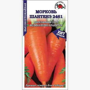 Морковь Шантанэ/ Сотка