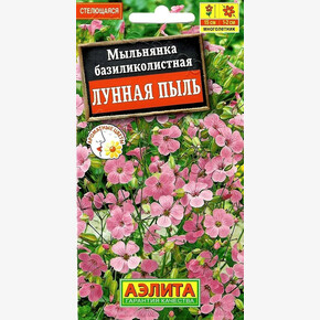 Мыльнянка Лунная Пыль/Аэлита/цп