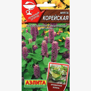 Мята Корейская АЭЛИТА