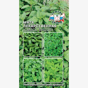 Мята Лекарственная/ Седек