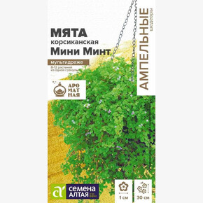 Мята Мини минт декоративная корсиканская/Семена Алтая/цп 3 шт.