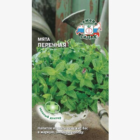 Мята перечная СЕДЕК
