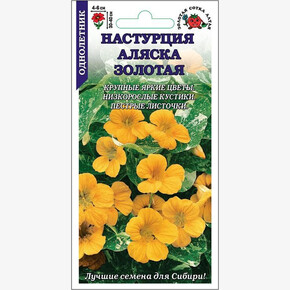 Настурция Аляска Золотая /Сотка/ 0,5г/ h-40см, d-6см/*500