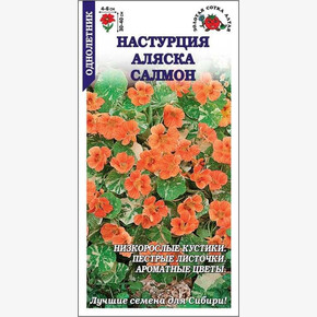 Настурция Аляска Салмон /Сотка/ 0,5г/ h-40см, d-6см/*500